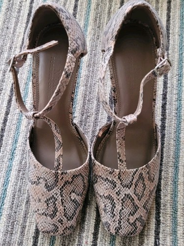 Next size shoes bar animal - next,
